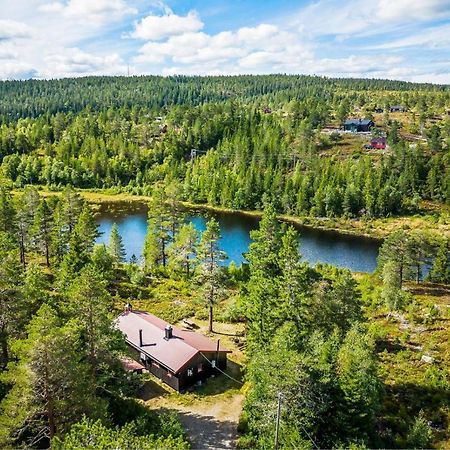 Ro I Sjelen. Hytte Til Leie Pa Skrim. Конгсберг Экстерьер фото