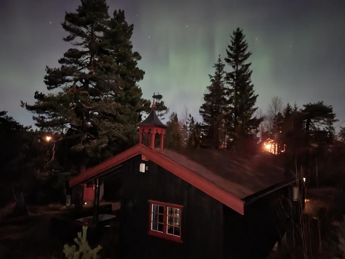 Ro I Sjelen. Hytte Til Leie Pa Skrim. Конгсберг Экстерьер фото