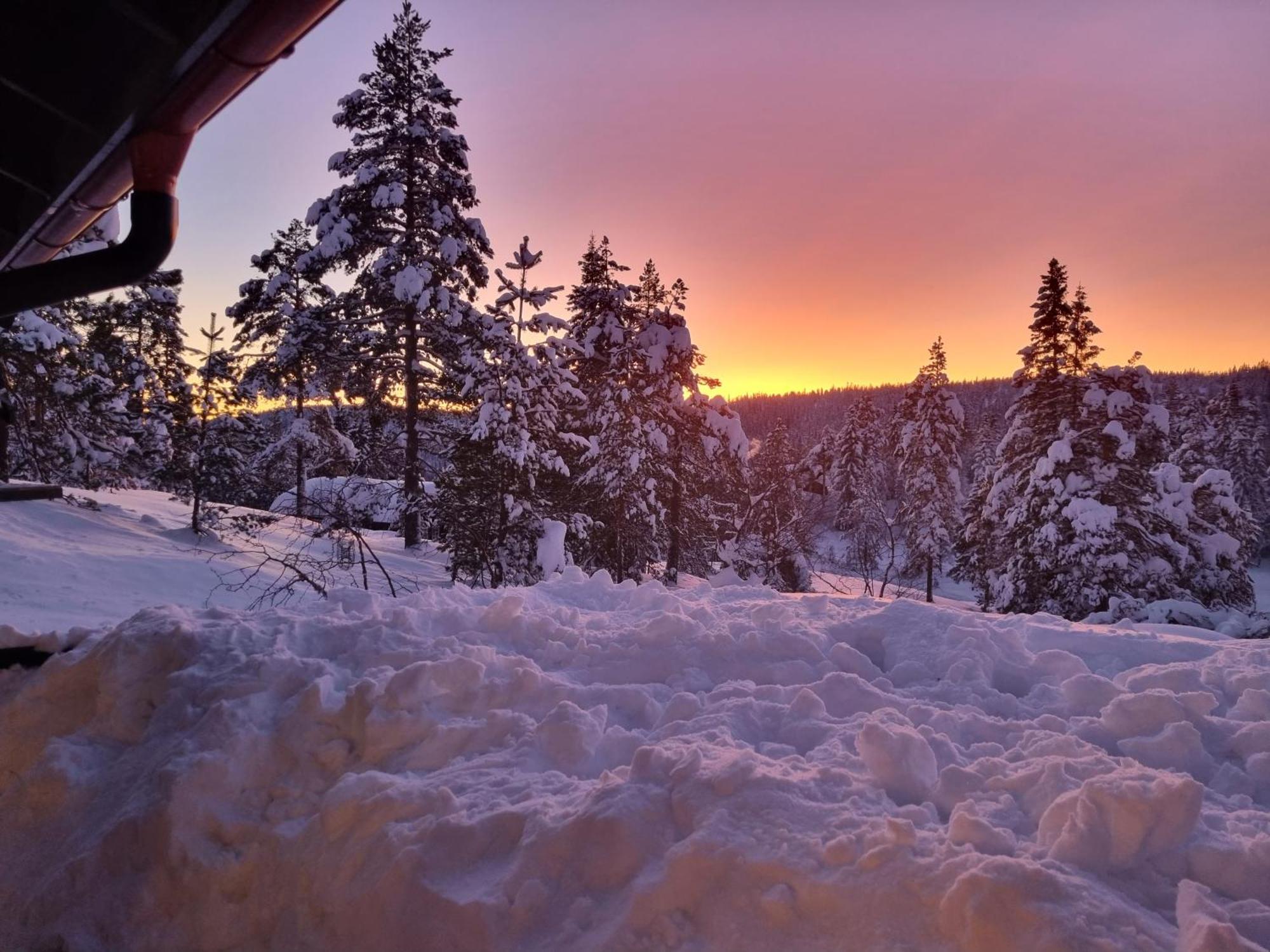 Ro I Sjelen. Hytte Til Leie Pa Skrim. Конгсберг Экстерьер фото