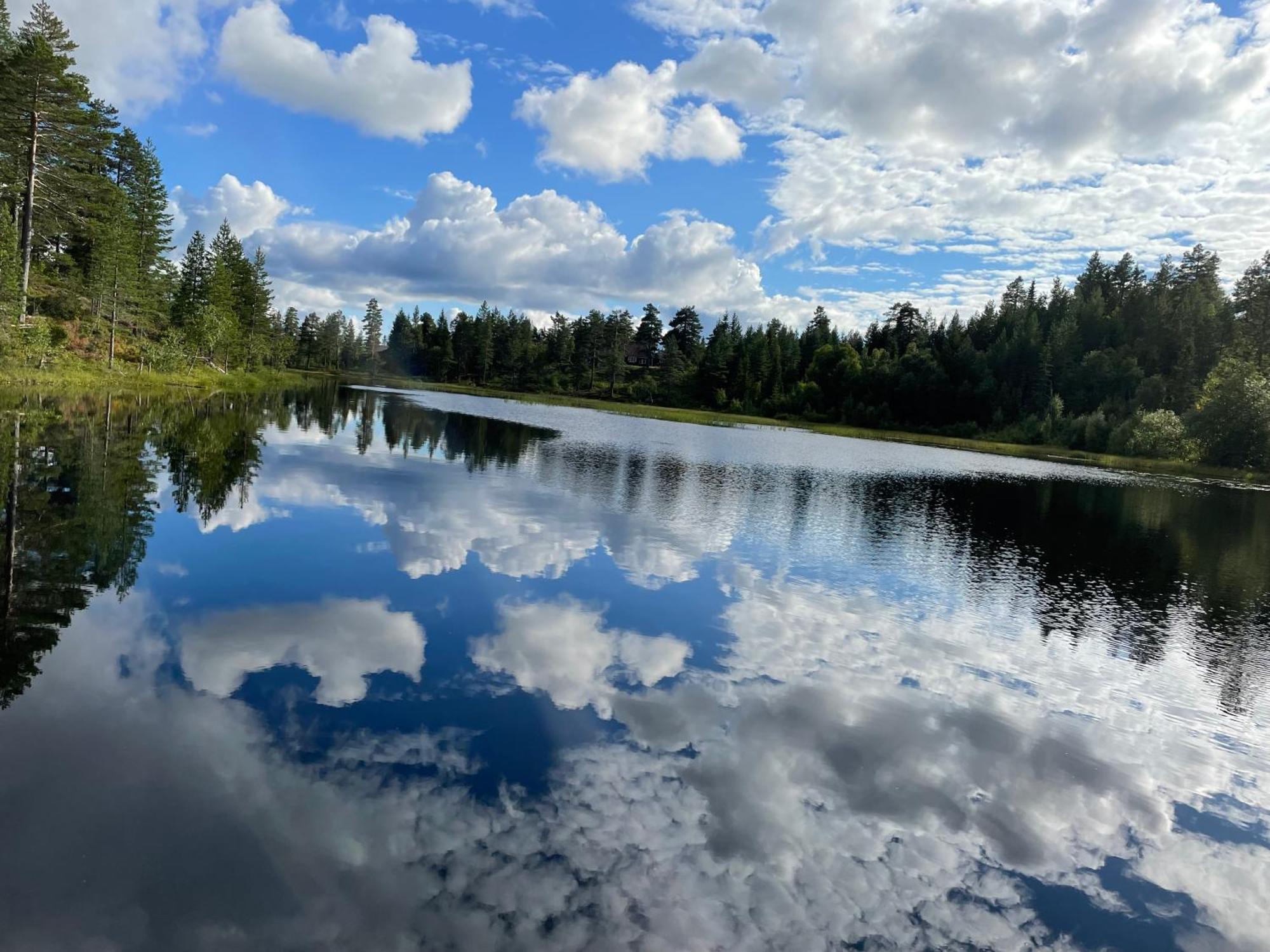 Ro I Sjelen. Hytte Til Leie Pa Skrim. Конгсберг Экстерьер фото